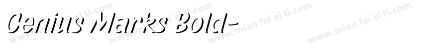 Genius Marks Bold字体转换